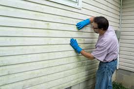 Best Siding Painting and Refinishing  in Hockessin, DE